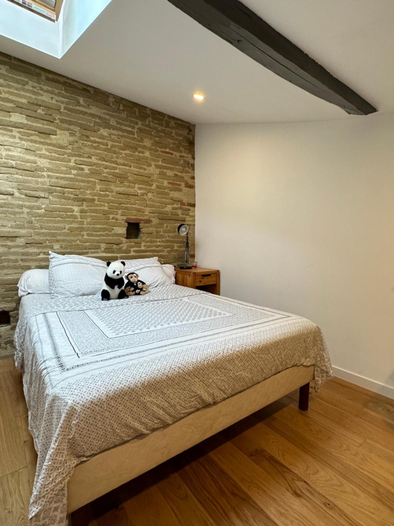 L Appartement Canal Du Midi Τουλούζη Εξωτερικό φωτογραφία